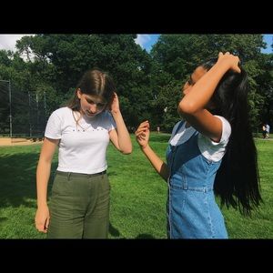 Meet your Posher, Ginger